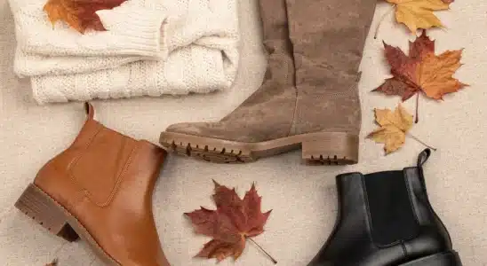 Collection of stylish fall boots for women in brown leather and black suede